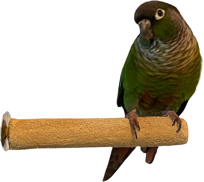 Polly's Pastels Nail Trimming & Beak Conditioning Safety Perch for Cockatiels, Cockatoos, Macaws, Parakeets, Budgies, Parrots and All Other Birds (Brown, Small-1" Dia. x 6" Long)