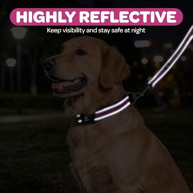 FURRYFECTION Reflective Dog Collar and Leash Set with Quick Release Buckle, Padded with Neoprene, Adjustable Nylon for Small, Medium and Large Dogs (Large Collar + 5FT Leash, Hot Pink)