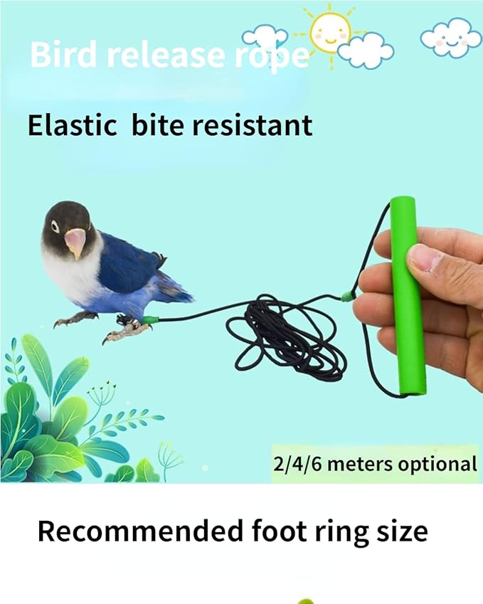 Bird Foot Chain with Flying Latex Elastic Training Rope Outdoor Parrot Ankle Foot Ring Accessories Bird Harness Leash Prevent Escaping (Model4-With 157.5inch Leash)