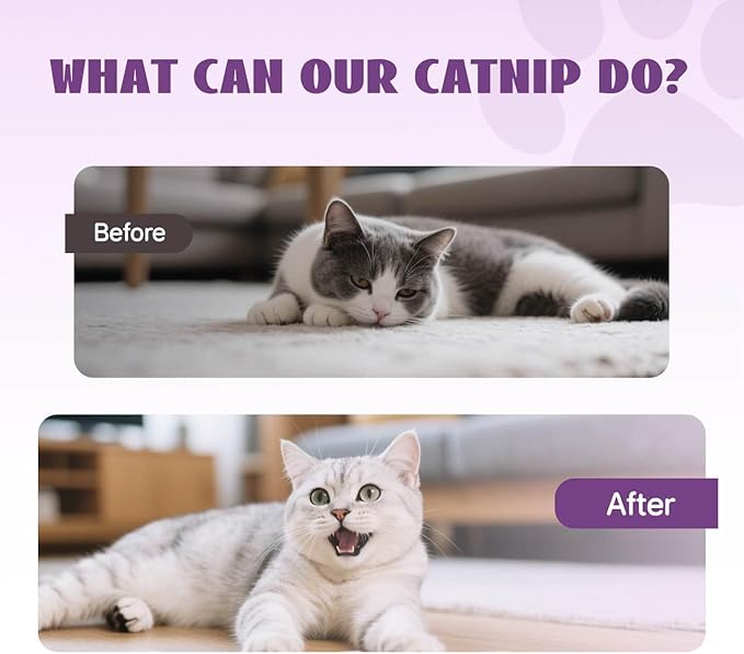 Catnip Spray for Cats, Catnip Mist for Indoor Cats - Organic Herbal Formula to Encourage Active Play & Renew Old Toys, 100% Natural & Safe (2 fl.oz)