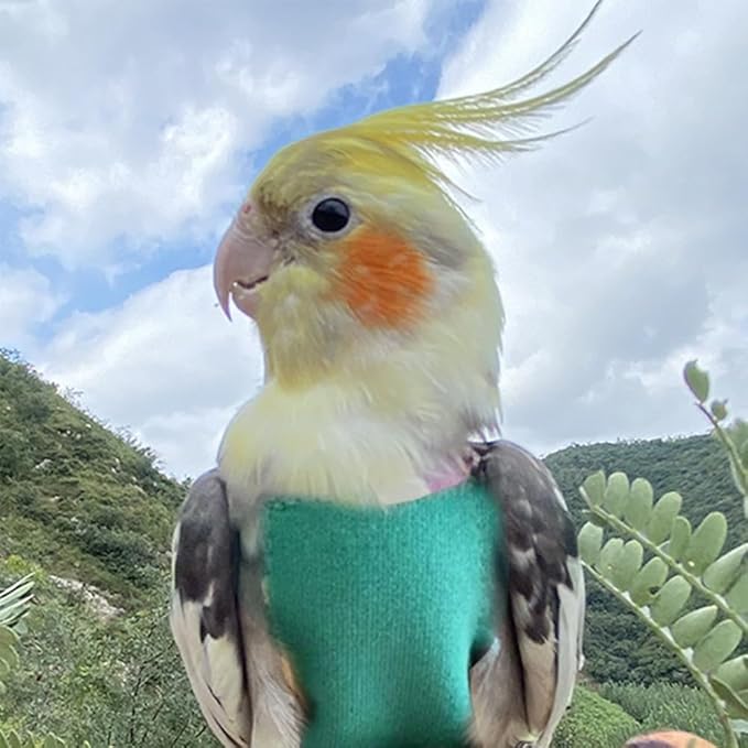 Pet Bird Diaper Harness Adjustable Parrot Harness and Leash Set Cockatiel Flight Suit with 60 Inch Leash Bow Tie Bird Flying Clothes for Conures Cockatoos Cockatiel Pigeon(Pink, Small)
