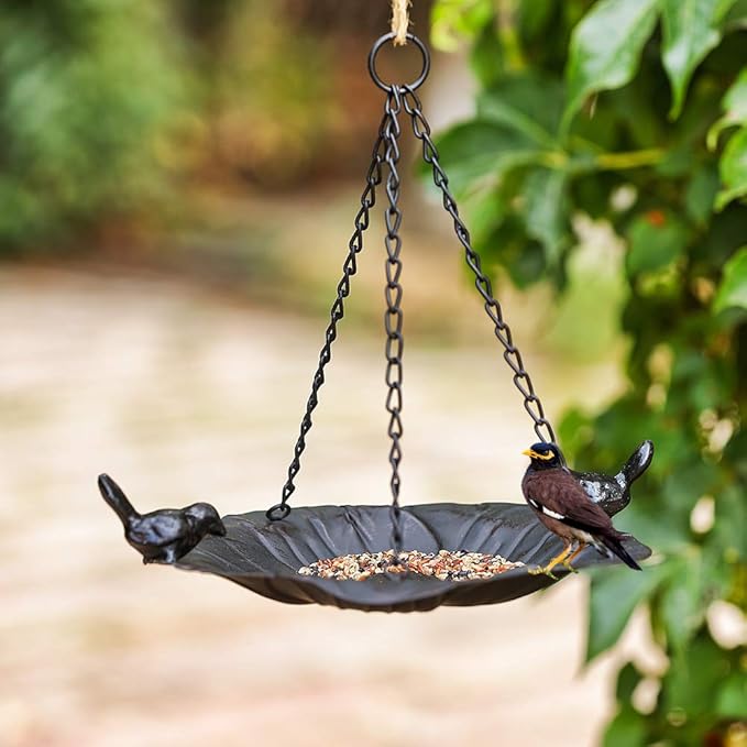 Jemeni Wild Bird Feeder Tray - 10.7 Inch Hanging Seed Plate for Garden, Backyard, Patio - Attracts Birds, Durable & Easy to Clean (Black)