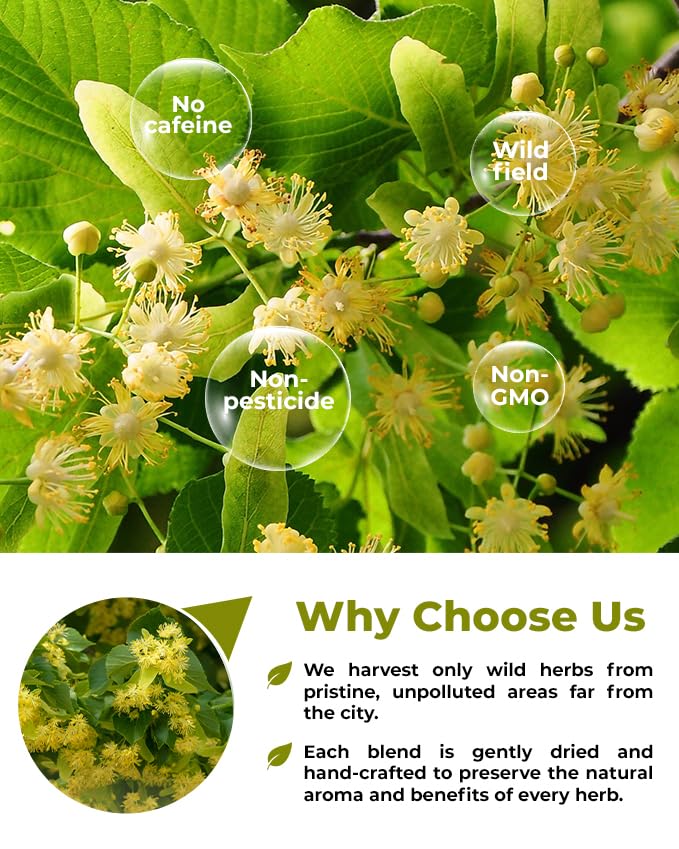 100 Bags Linden Tea Dried Linden Flower Tea Herbal (Tilia Cordata) - 100 Count 1.5g Bags Herb Lipa