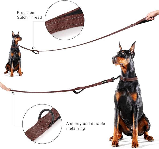 Plutus Pet Double Handle Dog Leash 4ft, Heavy Duty, Reflective Dual Handle Dog Leash for Safety Training, for Medium Large Dogs,2 Handle Leads, Chocolate