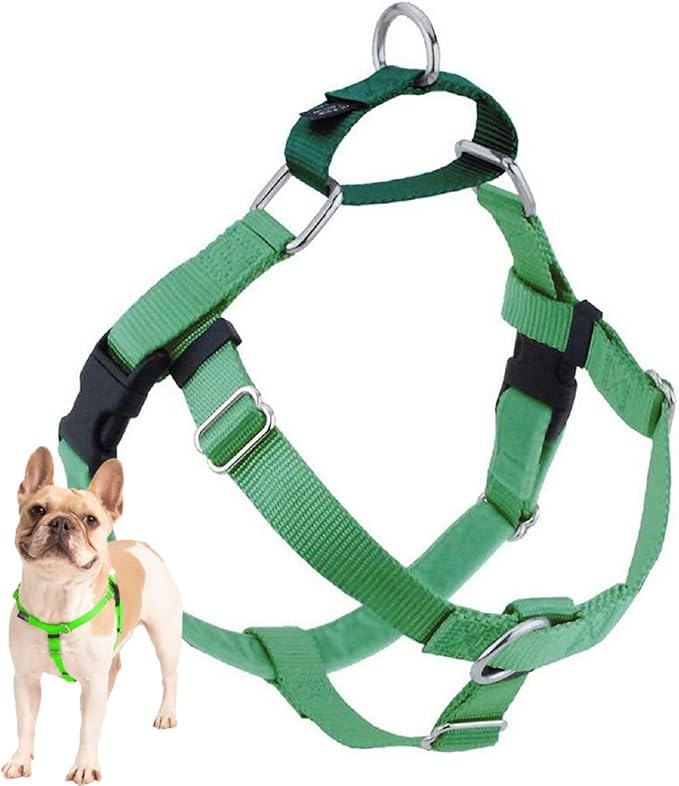 2 Hounds Design Freedom No Pull Dog Harness, Adjustable Harness, Easy Walking & Comfortable Control, Fits Small, Medium & Large Dogs, Solid Colors, Made in USA, 1" LG, Neon Green