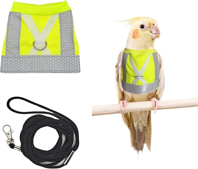 Bird Harness and Leash - Adjustable Parrot Training Flight Harness Vest with Reflective Strip Nylon Training Rope for Medium Large Bird Parrot Cockatiel Monk Parakeet Sun Conure (S)