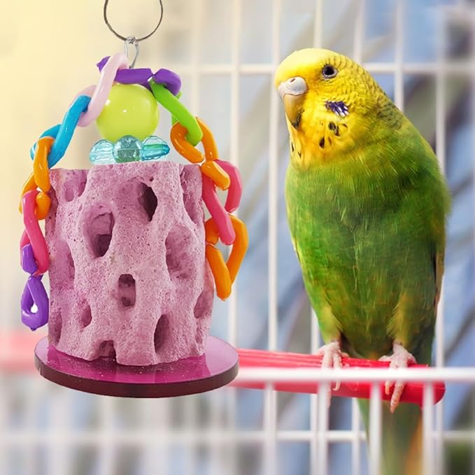 Parrot Bird Chewing Toy,2Pcs Parrot Teething Stone Toy,Parrot Beak Grinding Calcium Stone,Bird Cage Accessories for Parrot Rabbit Bunny Hamster, Chinchilla (B)