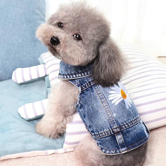 Pawstrip Dog Denim Jacket with Embroidered Daisy, Ripped Vintage Jean Vest for Small Dogs, Pugs, Chihuahuas, Spring Summer Fall Festival Outfit, X-Large (Fits Chest 17-18")