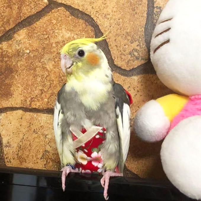 Bird Flight Suits Diapers, Parrot Flight Suits Diapers for Quaker Parakeets Cockatiels Flight Suits, Parrot Clothes (Almond B,2M)