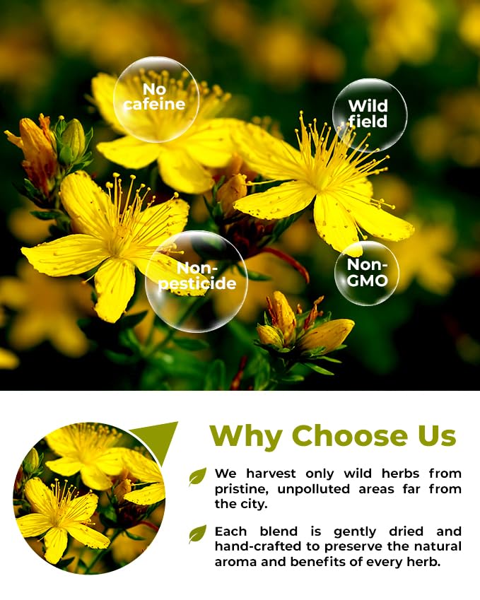 4 oz. St Johns Wort Herb Herbal Tea (Hypericum) - 113g Hierba De San Juan Herb Tea