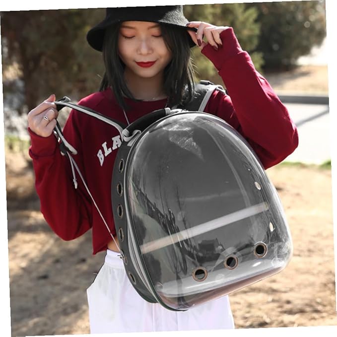 Abaodam Portable Parrot Carrier Backpack Breathable Design and Wooden Perch Outdoor Travel for Birds Black Includes Stand