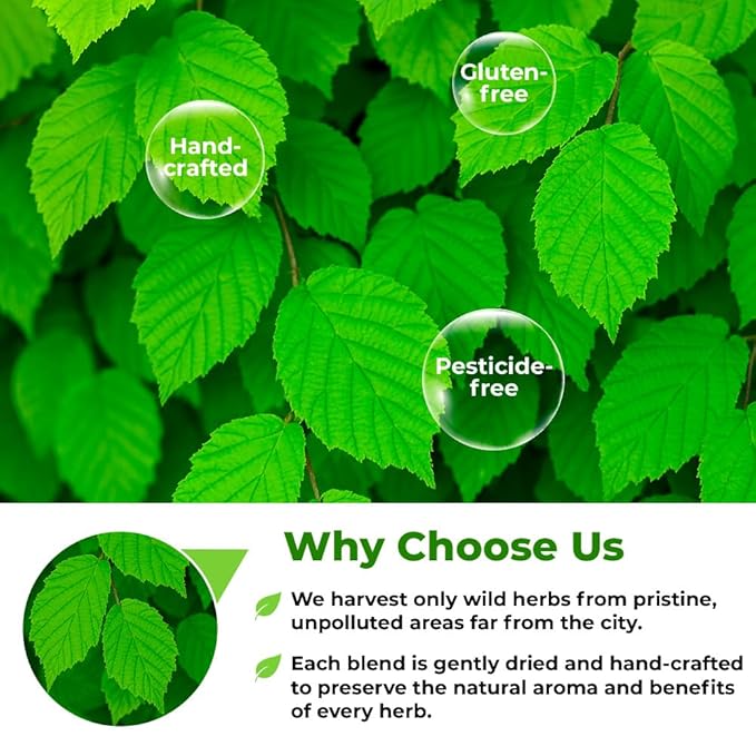 2 oz. Hazel Leaf Herbal Tea (Folium Coryli avellanae) – 56g Dried Hazel Leaf Tea Hojas de Avellano