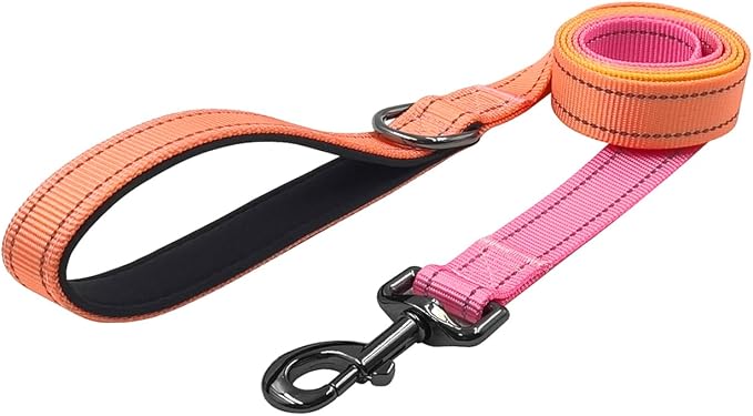 Dog Collar Leash Set, Gradient Color, with Safety Reflective Strips, 5 ft Matching Leash, Neoprene Padded Handle, Adjustable 4 Sizes for Small Medium Large Dogs.(M, Orange Pink)