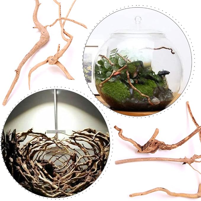 5 Pcs Aquarium Driftwoods Natural Driftwood Fish Tank Decorations Solid Reptile Wood Branches for Fish Tank Small Fish Hiding