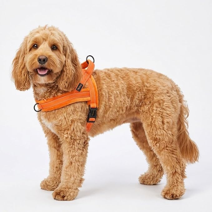Didog Soft Flannel Padded Dog Vest Harness, No Pull/Quick Fit Reflective Dog Strap Harness, Easy for Training Walking (S:Chest 18-22", Orange)