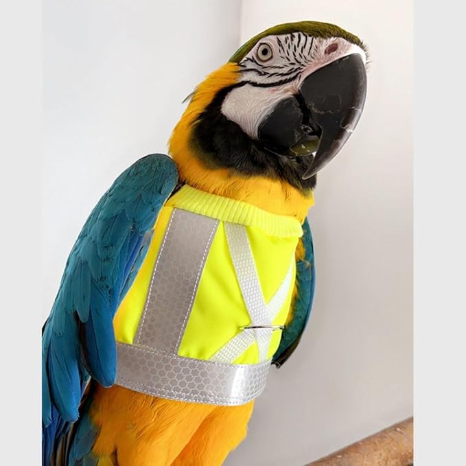 Pet Parrot Bird Harness and Leash, Adjustable Training Design Anti-Bite, Bird Nylon Rope for Parrots, Waterproof and Reflective, Suitable for Macaw Cockatoo Cockatiel Lovebird Conure African Grey (S)