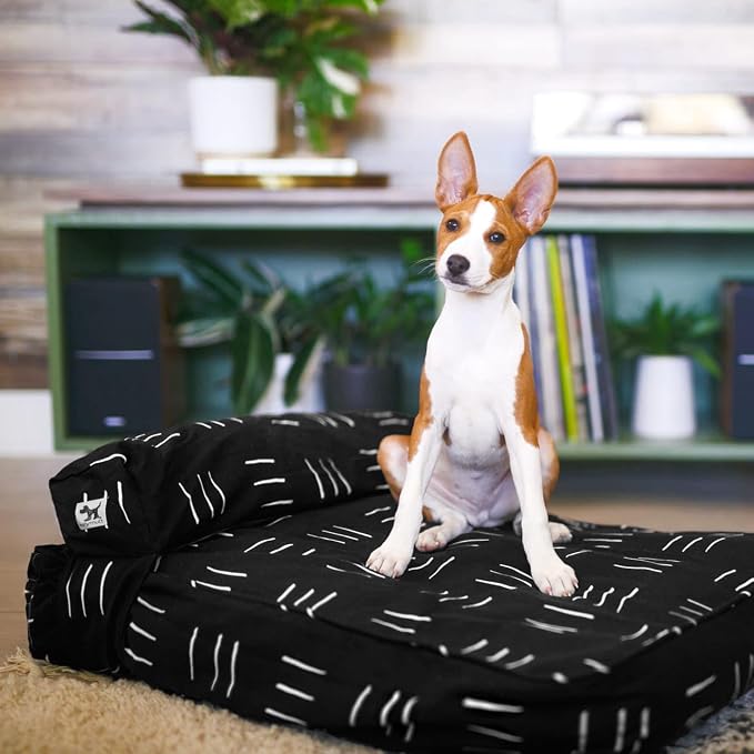 Molly Mutt Medium to Large Dog Bed Cover - Dreams - Measures 27”x36”x5’’ - 100% Cotton - Durable - Breathable - Sustainable - Machine Washable Dog Bed Cover