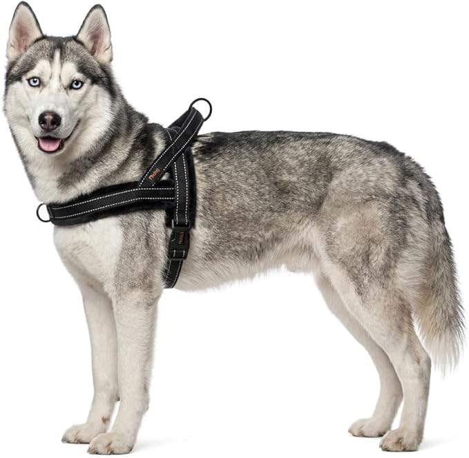Didog Soft Flannel Padded Dog Vest Harness, No Pull/Quick Fit Reflective Dog Strap Harness, Easy for Training Walking (M:Chest 22-26", Black)