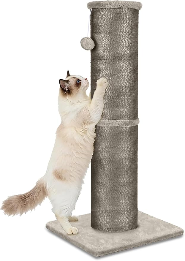 PAWSCRAT Cat Scratching Post 32 Inch High, 5.5 Inch Large Diameter Natural Sisal Cat Scratch Post, Scratch-Resistant and Durable Tall Cat Scratcher for Indoor Cats, Protect Your Furniture, Gery