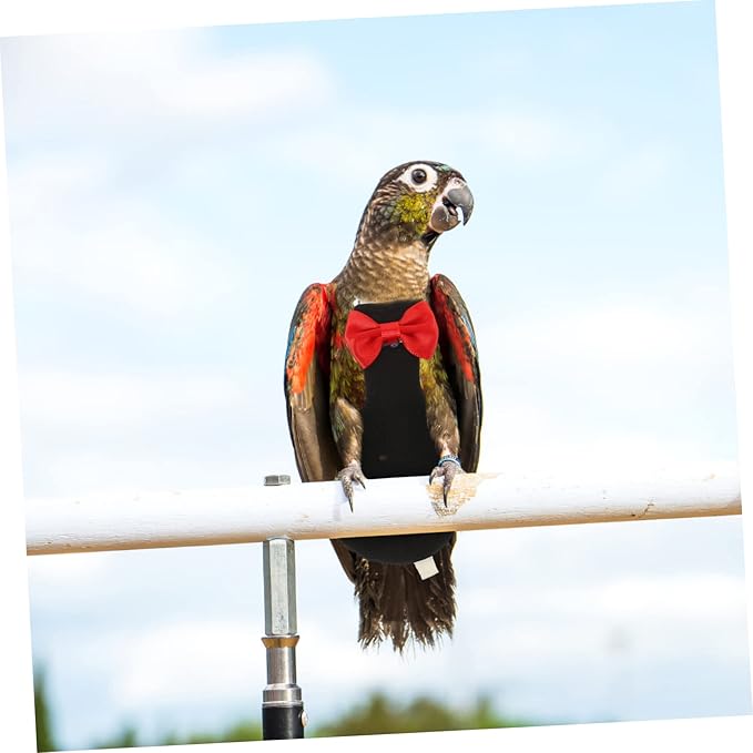 Toyvian Washable Reusable Bird Diaper Parrot Flight Suit with Bow Tie Decorative Clothes for Budgie Parakeet Cockatiel Pet Birds Breathable Comfortable Nappies