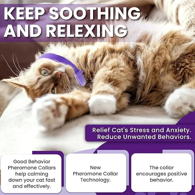 Calming Collar for Cats, Long-Lasting Pheromone Collar Helps for 60 Days, Designed to Reduce Stress and Anxiety, Helps Cats and Kittens Calm, Loud Noises, and Separation, 2 Count