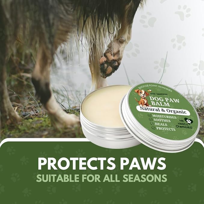 Lick Safe Dog Paw Balm - Softens, Heals, Soothes & Protects Dogs Paws, Noses & Skin. All Natural, Organic Ingredients. Lick-Safe Protection for Dogs with Beeswax (5 fl.oz - Large Tin)