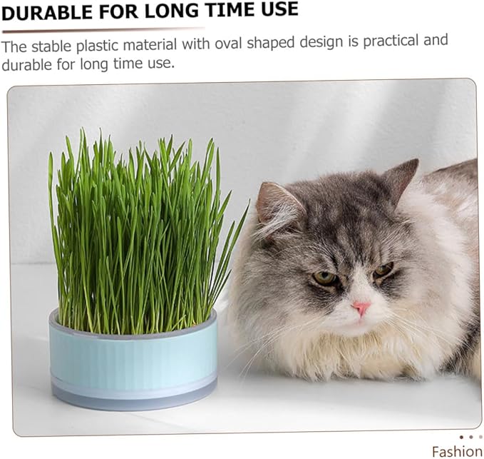 BESPORTBLE 2pcs Hydroponic Cat Grass Planter Soilless Household Planting Box with Design Convenient Growing Kit for Indoor Use Blue Pink