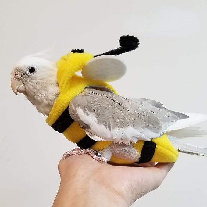 Bird Costume Diaper Flight Suit Bee Shape Hoodie Clothes Cosplay Photo Prop for Parrots Parakeet Cockatiel Sun Conure, Small Animals Apparel (Bee with Diaper, X-Large), Green (BPF1)