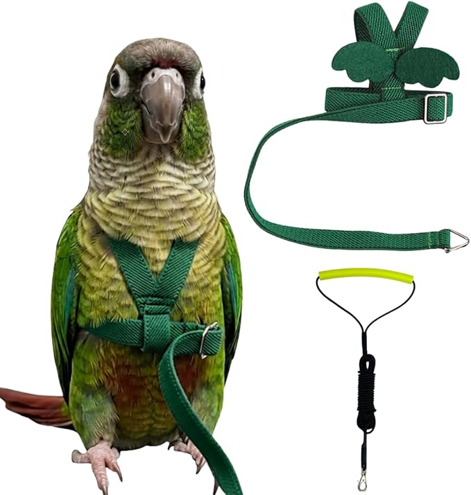 Adjustable Bird Harness with Elastic Leash, Pet Parrot Harness and Leash, Adjustable Training Design Anti-Bite, Bird Nylon Rope with Cute Wing for Conure (Deep Green,M)