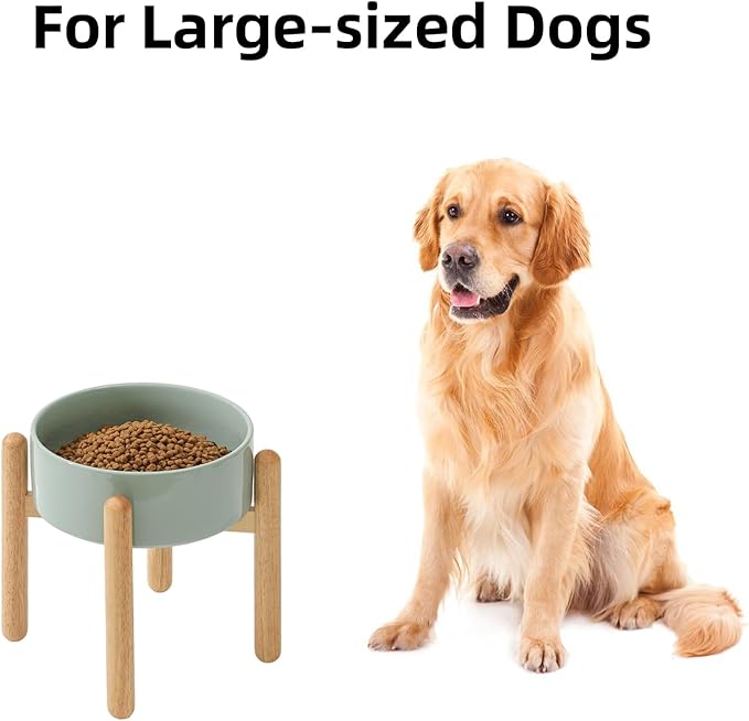 Havniva Ceramic 8.2inch Raised Dog Bowl with Stand for Large - Breed Dogs, Pet Food and Water Feeder(Single Bowl with Stand - Light Green)