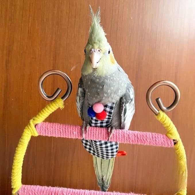 Bird Flight Suits Diapers, Parrot Flight Suits Diapers for Monk Parakeets, Cockatiels Flight Suits, Parrot Clothes, Bird Training Nappy Suit Liners Clothes (Black,Cockatiel)