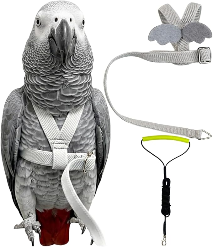 Adjustable Bird Harness with Elastic Leash, Pet Parrot Harness and Leash, Adjustable Training Design Anti-Bite, Bird Nylon Rope with Cute Wing for Conure (Grey,XXL)