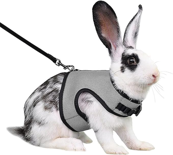 Rabbit Harness and Leash,Guinea Pig Escape Proof Bunny Harness and Leash Set, Cute Bunnies Vest Clothes Stuff Walking Ferret Kitten Puppy Small Pet Animals,Gray XL