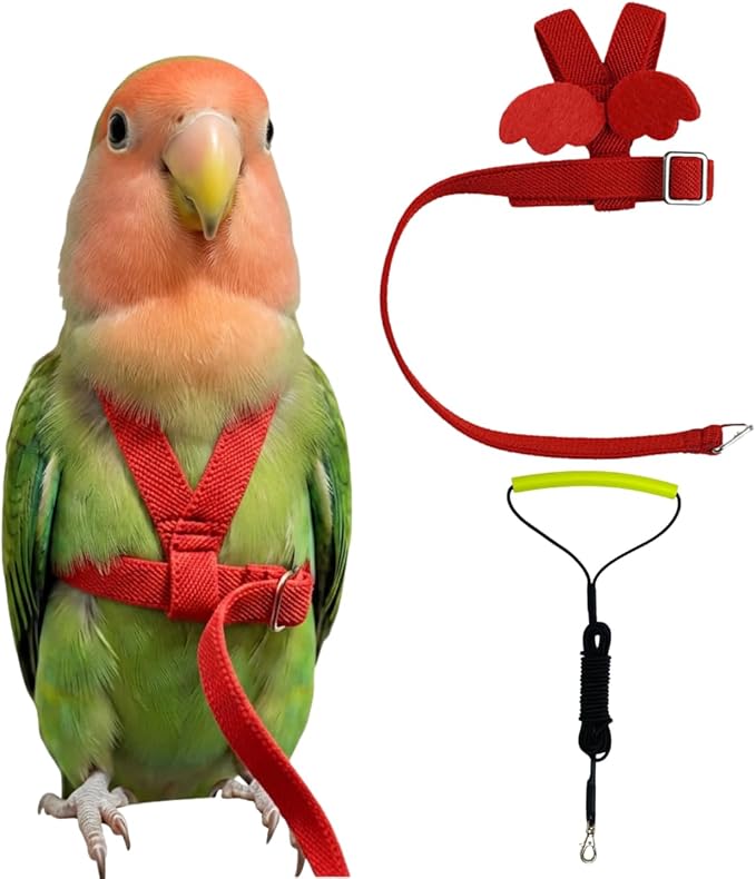 Adjustable Bird Harness with Elastic Leash, Pet Parrot Harness and Leash, Adjustable Training Design Anti-Bite, Bird Nylon Rope with Cute Wing for Conure (Red,S)