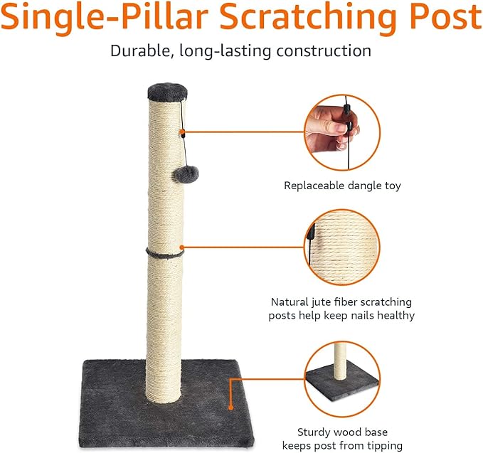 Amazon Basics Cat Scratching Post for Indoor Cats & Kittens, Medium (31.5"H), Cat Furniture with Dangling Ball Toy, Grey