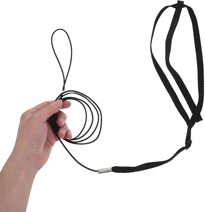Parrot Flying Harness: Training Leash Rope - Breathable Chest Vest - Adjustable Line Kit for Cockatoo Recall Practice Balcony Walks Yard Outings