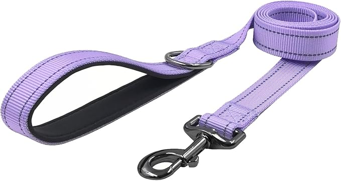 Dog Collar Leash Set, with Relfective Strips, Lilac Purple, Large. | Adjustable Collar,5 ft Matching Leash,Neoprene Padded Handle.