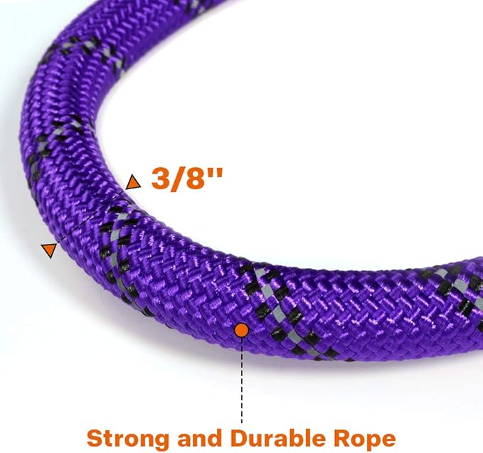 Taglory Rope Dog Leash 4 FT with Comfortable Padded Handle, Highly Reflective Threads Leash and Anti-Tangle Clip for Walking Small Dogs, 3/8 inch, Purple