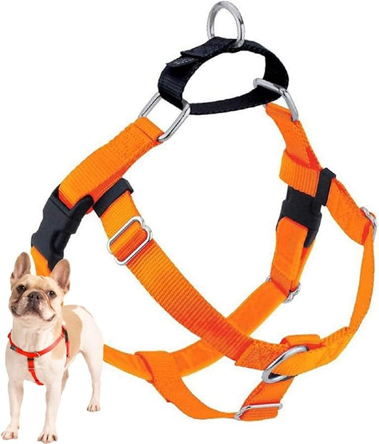 2 Hounds Design Freedom No Pull Dog Harness, Adjustable Harness, Easy Walking & Comfortable Control, Fits Small, Medium & Large Dogs, Solid Colors, Made in USA, 5/8" XS, Neon Organge