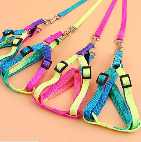 Hypeety Pet Bird Harness and Leash with Buckle Adorable Rainbow Design Safe Parrot Leash Pet Harness Outdoor Adjustable Anti Bite Training Rope for Macaw Large Size Bird (1.5cm × 47.24in)