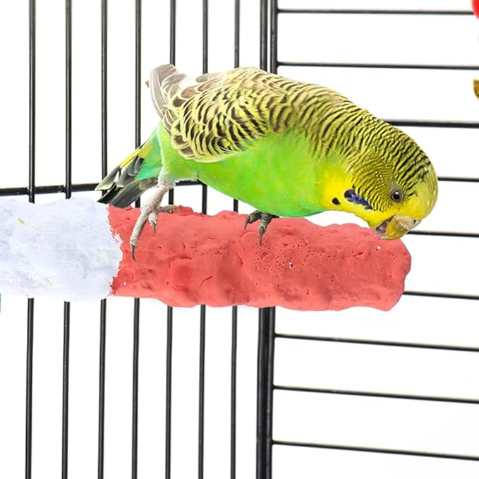 GALPADA High Calcium Cuttlebone Bird Perch for Parrots Natural Fruit Flavor 8-inch Standing Pole for PET Birds Essential Parrot Supplies and Accessories