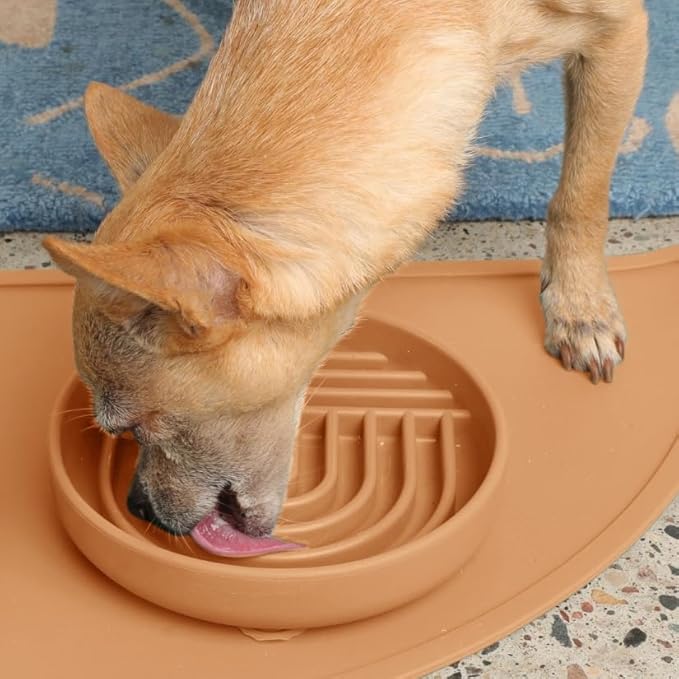 Should We Go? Slow Feeder for Dogs & Cats, The Slowdown Bowl Silicone Slow Eating Mealtime Solution with Modern Lick Mat Design, Reduces Gulping, Fits 1 Cup, 6” Across x 1.25” Tall, Small-Terracotta