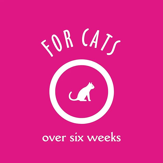 earthbath, Hypoallergenic Cat Shampoo - Fragrance Free Cat Shampoo for Allergies and Itching, Made in USA, Cruelty Free Cat Wash, Gentle & Soothing Kitty Shampoo - 16 Oz (1 Pack)