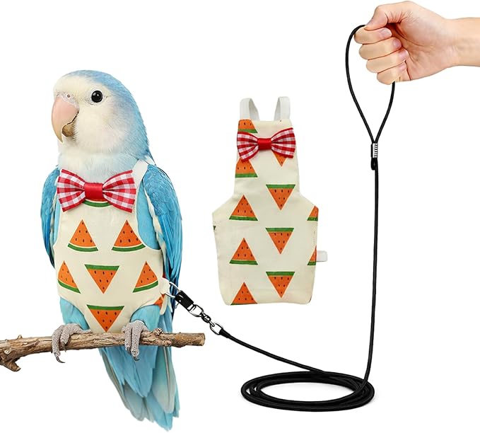 Budgerigar Lovebird Bird Diaper and Leash Set, Small Bird Diaper and Harness, Reusable Flight Suit for Small Parrots Young Cockatiels Conure/Adult Parakeet Lovebird (M)