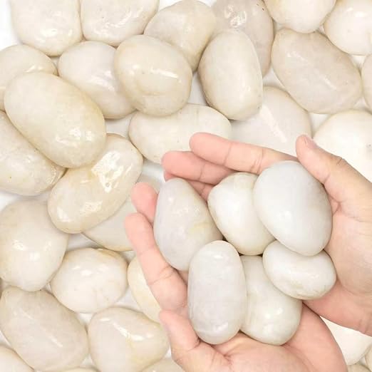 1-2" Polished Pebbles, Medium River Rocks for Potted Plants (5lb, White) | Natural River Stones, Highly Polished, for Large Planters & Fountains, Retains Soil Moisture, Approx 40-50 Rocks per 5 Lbs