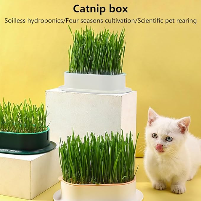 3Pcs Cat Grass Planter Set,Hydroponic Cat-Grasss-Box,Cat Grasss Growing Kits Nursery Plant Planting Box-for Indoor Cats Soilless Nursery-Box-Pet-Grass Pot,Only Planter Pot
