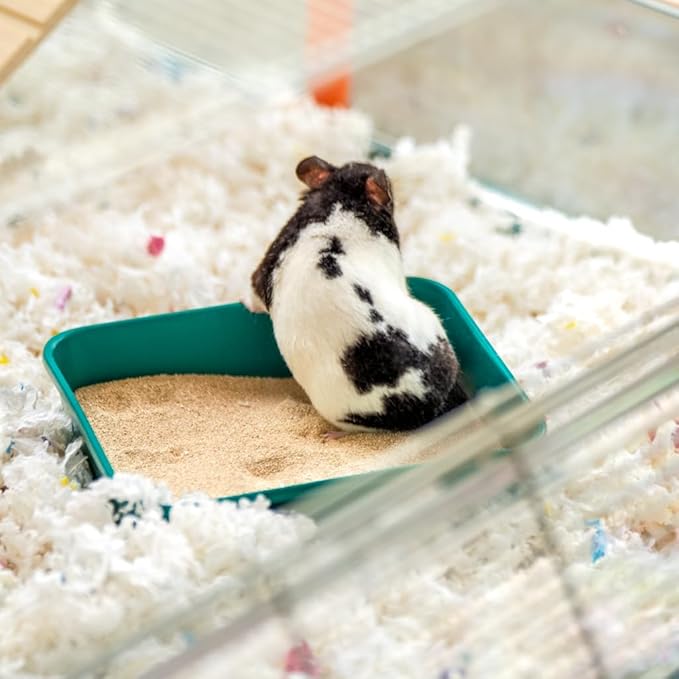 Omlet Hamster Sand Bath | Perfect Sand Bath Size for All Types of Hamsters and Gerbils | Comes with Compostable Hide to Slot in Under The Stand for Post Bath Burrowing | Green