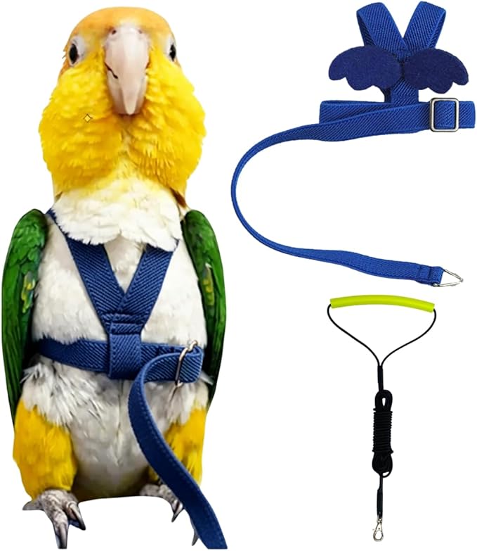 Adjustable Bird Harness with Elastic Leash, Pet Parrot Harness and Leash, Adjustable Training Design Anti-Bite, Bird Nylon Rope with Cute Wing for Conure (Deep Blue,XL)