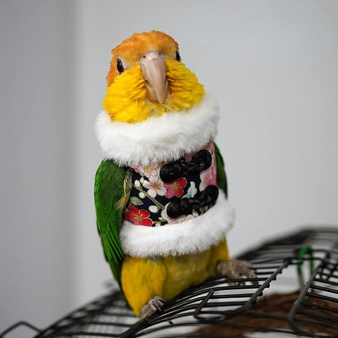Bird Flight Suit & Clothes Cosplay Photo Prop for Parrots, Parakeet, Cockatiel & Sun Conure - Bird Hoodie Small Animals Apparel (Black, X-Large)