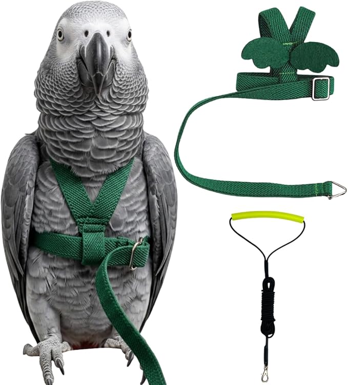 Adjustable Bird Harness with Elastic Leash, Pet Parrot Harness and Leash, Adjustable Training Design Anti-Bite, Bird Nylon Rope with Cute Wing for Conure (Deep Green,XXL)